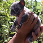 Guillermo Perez - @guillermoperez.23 - Instagram