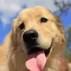 Guillermo Polk - @guillermo.polk - TikTok