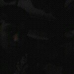 Guillermo Polo Franco - @guillermo.polofranco - Instagram