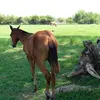 Guillermo Puga627 - @guillermopuga627tampico - TikTok