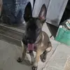 Guillermo Romero Real 😉 - @el.cuate47 - TikTok