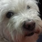 Guillermo Rebollo Torres - @rebolloguillermo - Instagram