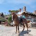 Guillermo Roque - Facebook