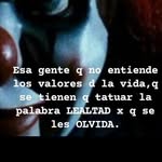 Guillermo Sequeira - @guiguisequeira - Instagram