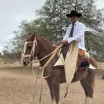 Guillermo Sequeira - @sequeira7262 - Instagram