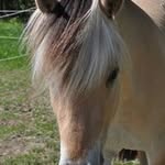 Gunilla Andersson - @gunilla1680 - Instagram