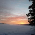 Gunilla Andersson - @gunilla5506 - Instagram