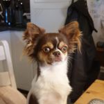 Gunnar Berg - @gunnar.berg.5688 - Instagram