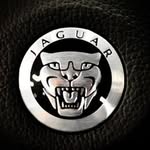 Gunnar Hoffmann - @gunnar.hoffmann - Instagram