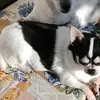 gunnarhoffmann275 - @gunnarhoffmann275 - TikTok