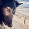 hello - @gunnarhoffmann20 - TikTok