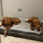Gunnar and huntar - @gunnar.huntar22 - Instagram