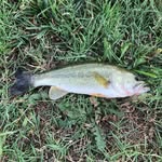 Gunnar Huntley - @gunnar_huntley - Instagram