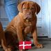 Gunnar Pedersen - Facebook