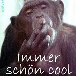 Gunnar Schmidt - @gunnar.schmidt.seltz - Instagram