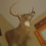 gunnar creek Williams - @gunnarcreek - Instagram