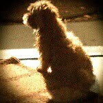 Axl Gunner Britton - @axl_baby_2013 - Instagram
