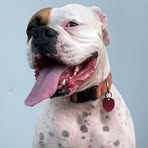 Gunner Scott - Facebook