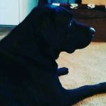 gunner scott - @gunner9702 - Instagram
