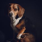 Gunner Scott - @gunnybeag - Instagram