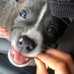 Gunner Scott - @__gunnergram__ - Instagram