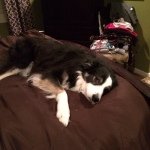 Gunner Scott Hodges - @gunner_hodges123 - Instagram