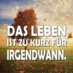 Hecht Günter - @gunterhecht - Instagram