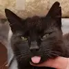 Günter Seifert958 - @wanja123123 - TikTok