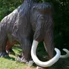 Günter Seifert - @gnter.seifert - TikTok