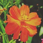 Gurvinder Singh Sethi - @gurvinder.sethi.357 - Instagram