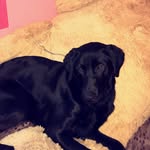 @gus._.alex - Instagram