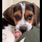 Gus Alexander - @gusalexander04 - Instagram