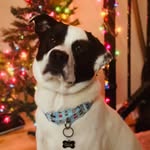 Gus Alexander - @gusgoingonadventures - Instagram