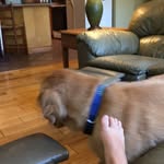 Gus Alexander - @gus5519 - Instagram