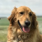 Gus Alexander Frobose - @itsgusboi - Instagram
