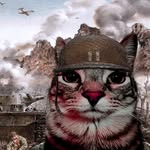Gus - @aengus.anderson - Instagram
