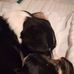 Gus Anderson - Facebook
