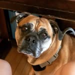 Gus Anderson - @the.gus_bus - Instagram