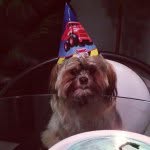 Gus Anderson - @gus.anderson - Instagram