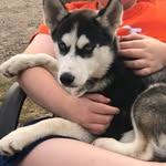 Gus anderson - @gus_anderson07 - Instagram