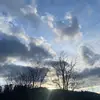 Gus Bennett - @gus.bennett - TikTok