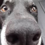 Gus Bennett - @gus.bennett03 - Instagram