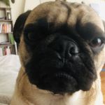 Gus Bennett - @hellothisisgus - Instagram
