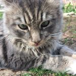 Gus LittleBoy Bennett - @guslittleboybennett_6 - Instagram