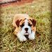Gus “Swaggy” Bennett - Facebook