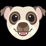 gus carpenter - @guscarpenter8 - Instagram