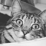 gusclark - @gusclark1112 - Instagram