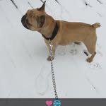 Gus_Eddy - @gus_eddy_lrmi - Instagram