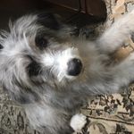 Gus Evans - @gus_gus_gus._ - Instagram