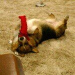 Gus Evans - @sirgustafer - Instagram